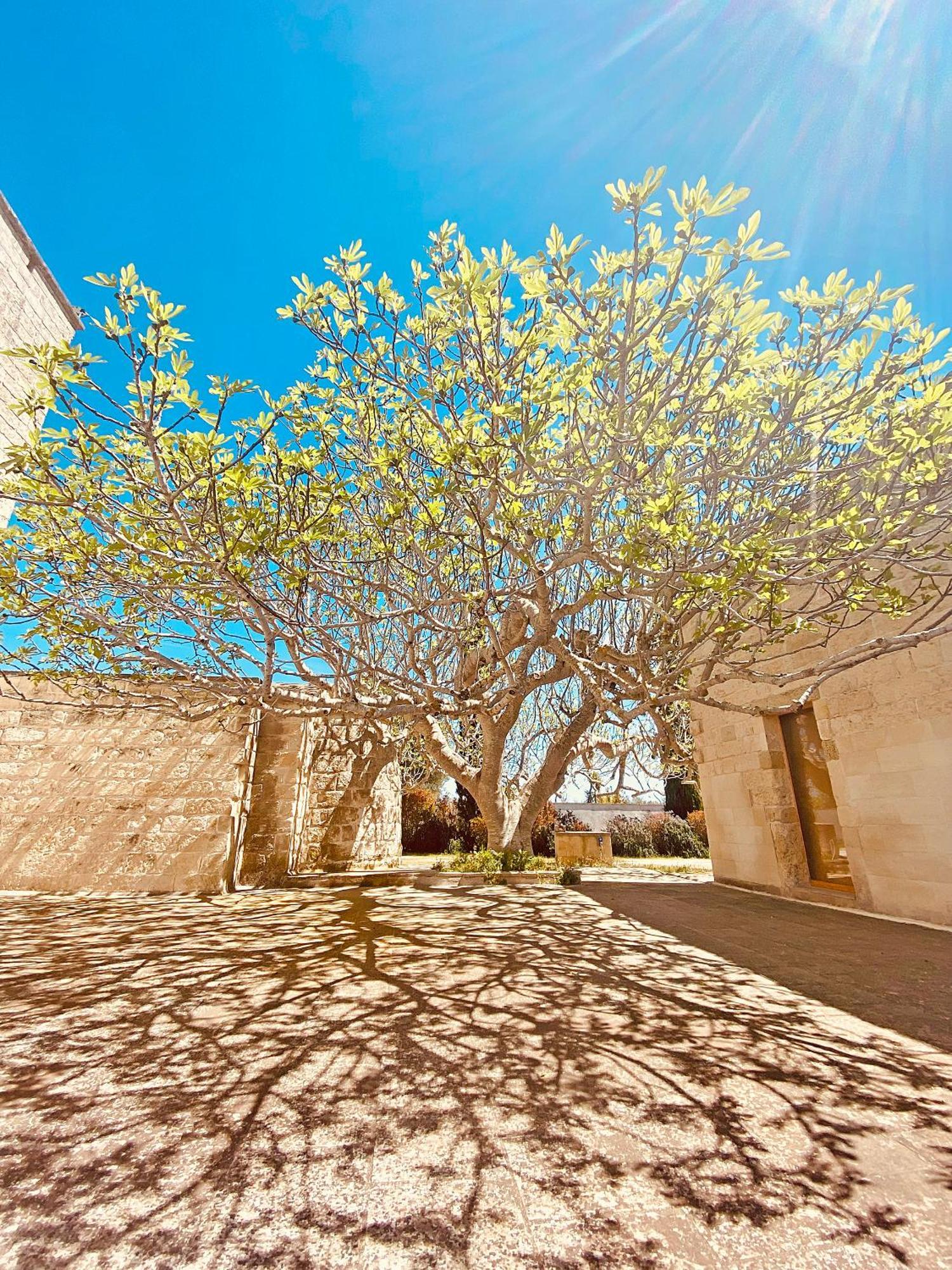 Masseria La Millenaria San Foca Exterior foto